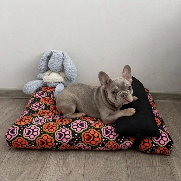 Producto - Colchonetas Rectangular con Almohadon Huellas Naranjas - 0