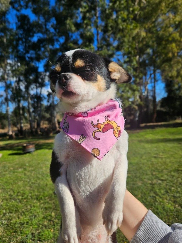 Miniatura de producto - 3