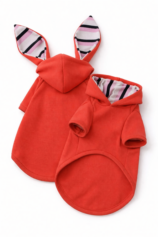 Producto - Buzo Bunny coral