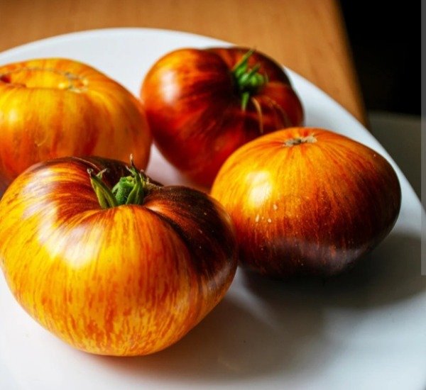 Producto - Semillas de tomate ussuri tiger