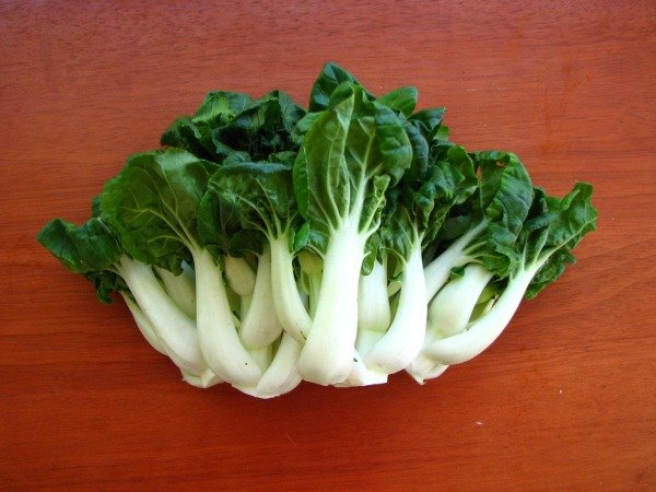 Producto - Bok choi otoño invierno