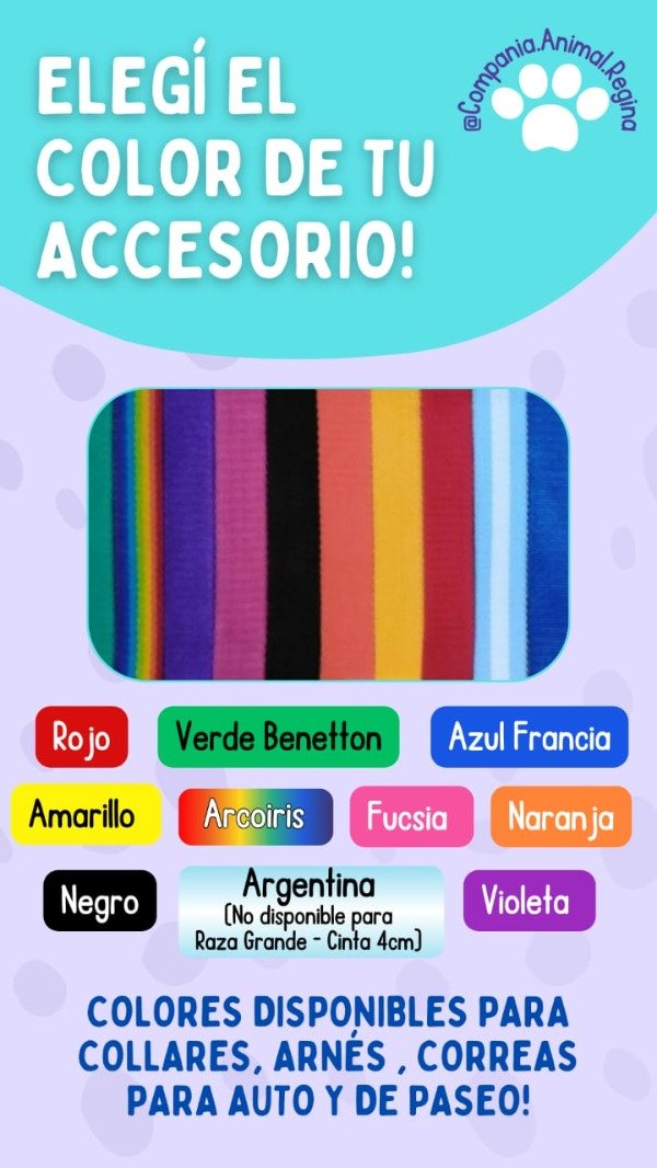 Producto - KIT PASEO collar bordado+arnés H+correa 1.5 mts desde - 3