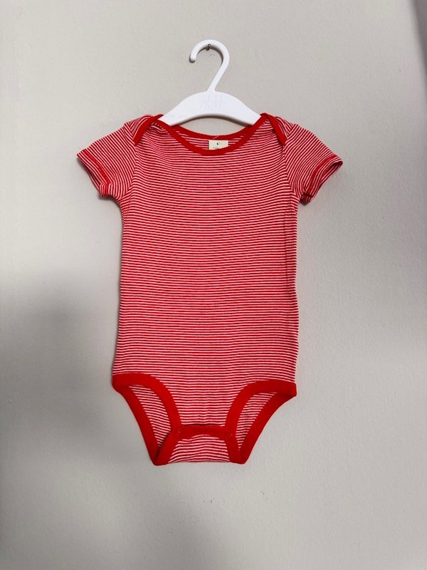 Producto - Body CARTERS 12 meses nr206