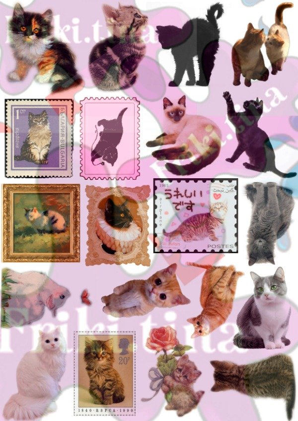Producto - Pack Sticker Michis - 3