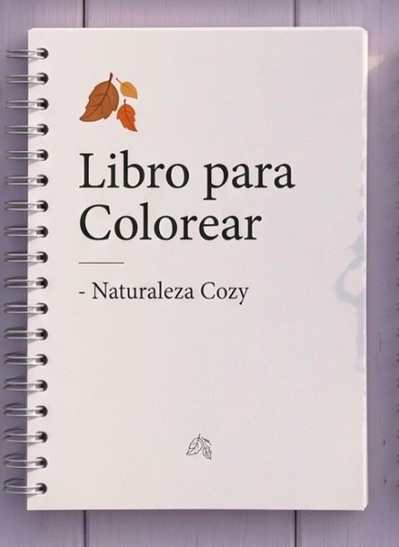 Producto - Cozy