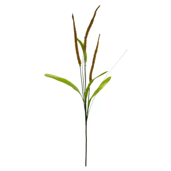 Producto - VARA FLOR TOTORA MARRON  65 CM