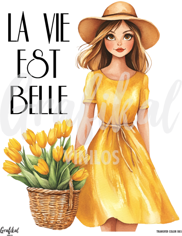 Producto - TransferColor 20x25 085