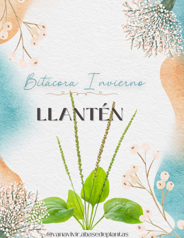 Producto - BITACORA INVIERNO LLANTÉN