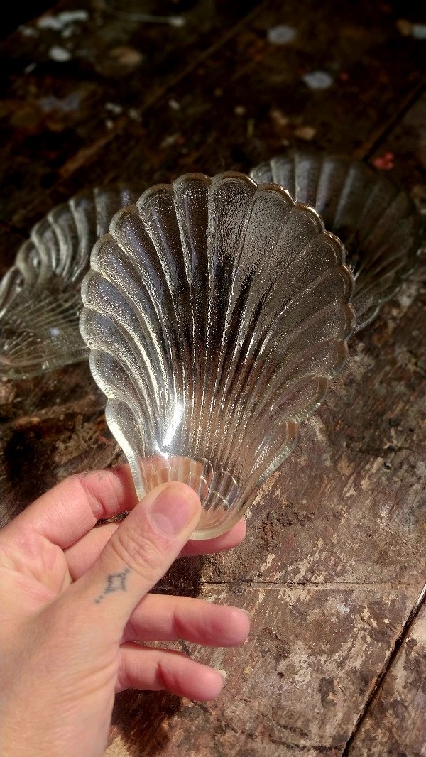 Producto - Compoteras Concha