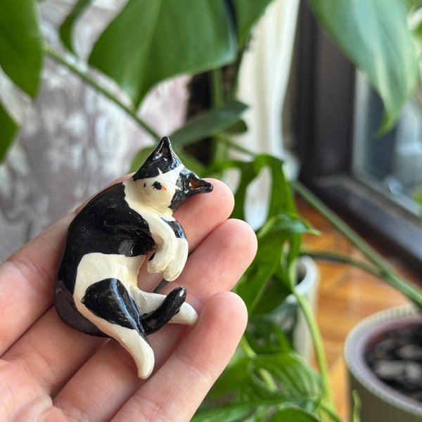 Producto - Gato tuxedo