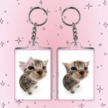Producto - Llaveros michis lll