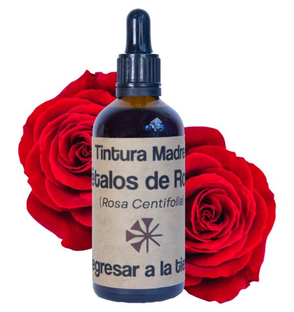 Producto - Tintura Madre de Rosas 100ml