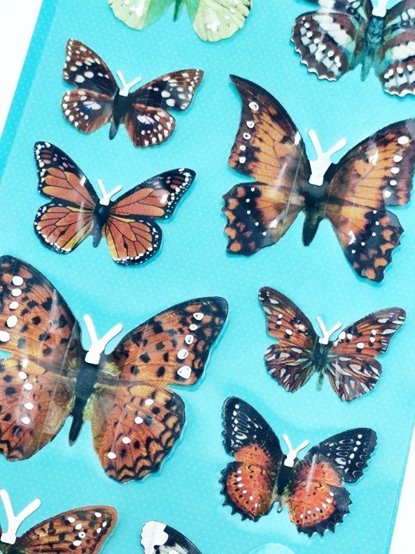 Miniatura de producto - 7