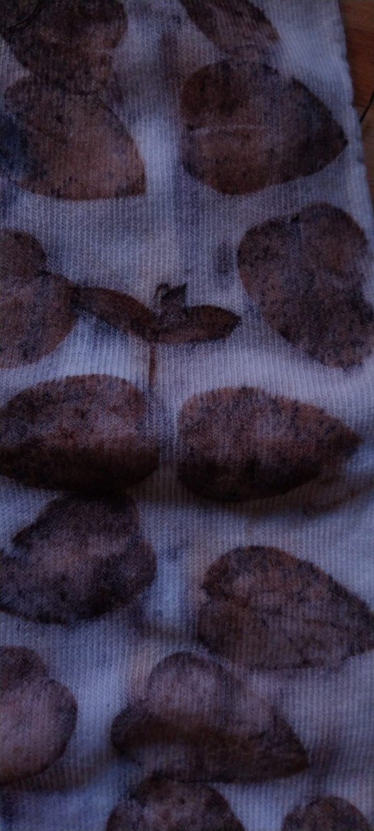 Producto - Medias - 6