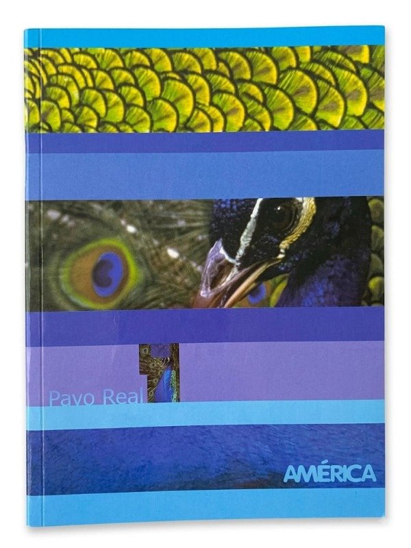 Producto - Cuaderno 48 Hojas Rayadas - Tapa Flexible - América