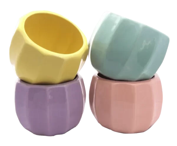 Producto - MACETA FLORITA