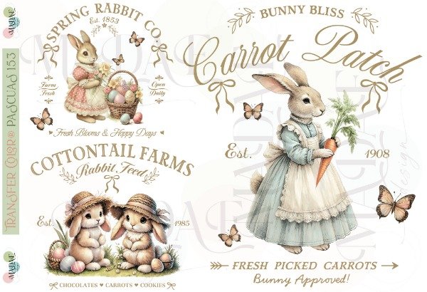 Producto - TRANSFER COLOR A4 153