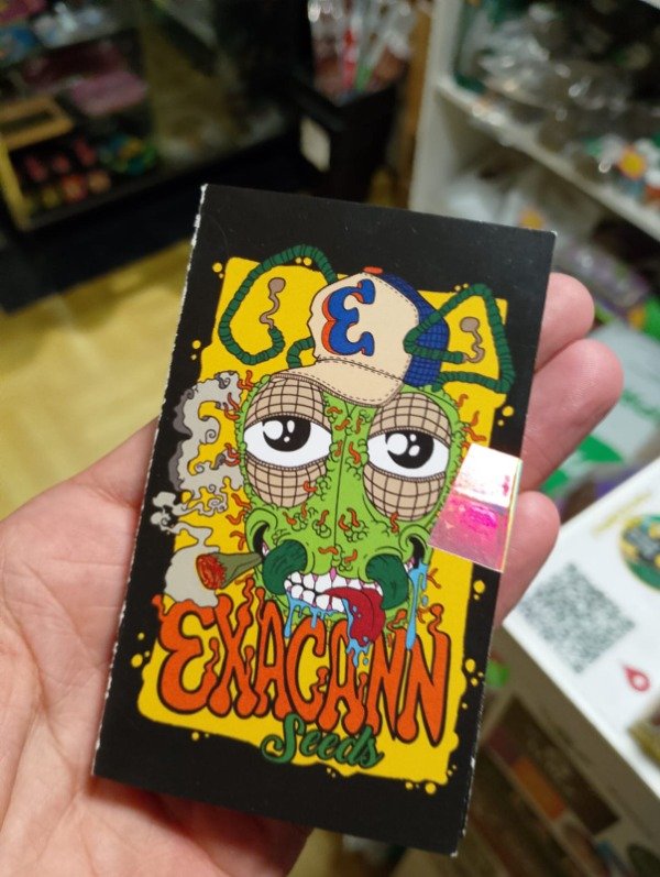 Miniatura de producto - 1