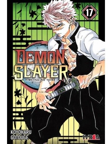 Producto - DEMON SLAYER- KIMETSU NO YAIBA 17
