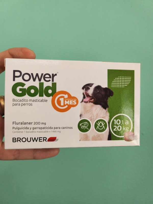 Producto - Comprimido Power Gold perro 10 a 20kg (1 mes)