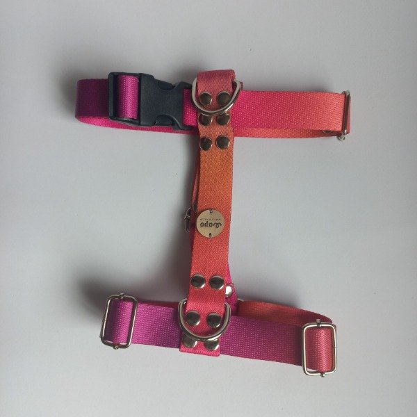 Producto - Pretal H AURORA