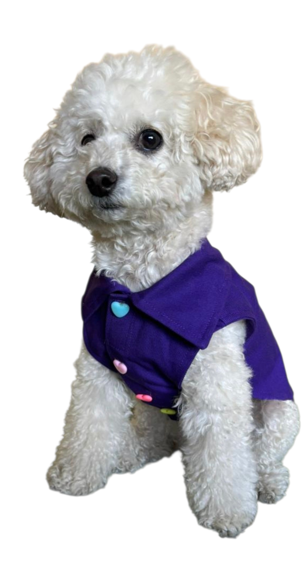 Miniatura de producto - 7