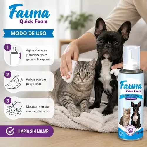 Producto - ESPUMA DE BAÑO EN SECO ANTISEPTICA 210ML - 1