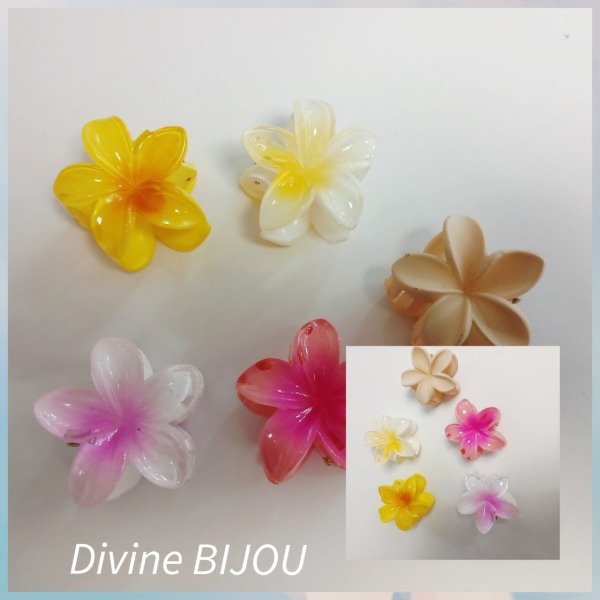 Producto - Broches pequeños Hawaianos
