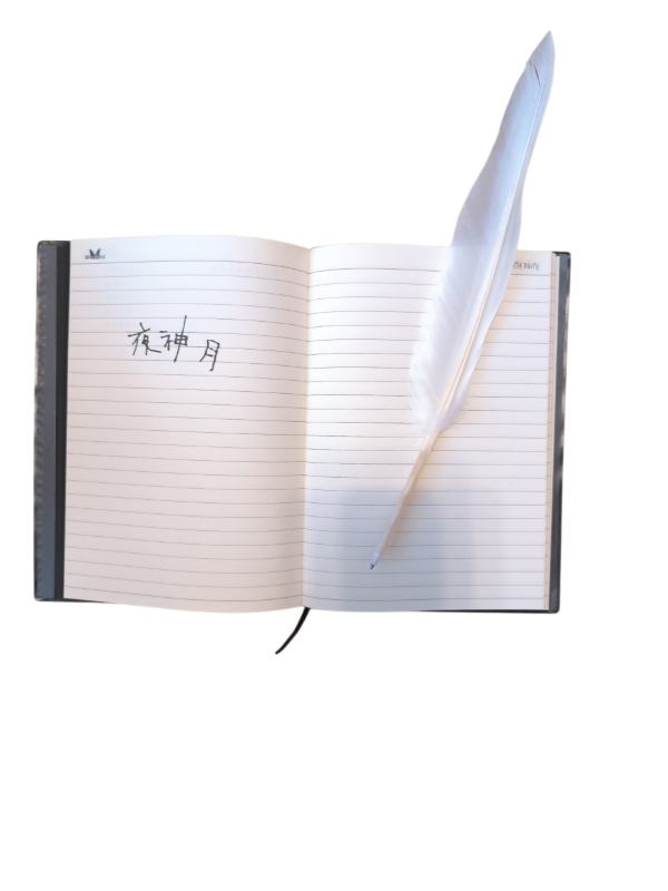 Producto - Libreta Death Note Con Pluma Y Caja Importada Premium - 2