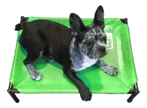 Producto - CATRE CAMA PERRO CHICO