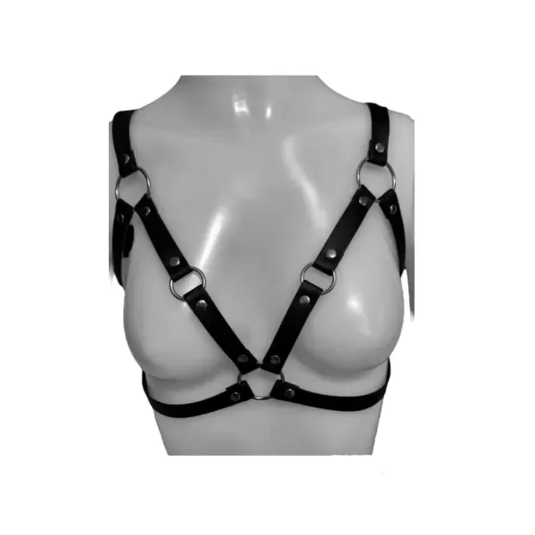 Producto - Arnes BLOOD