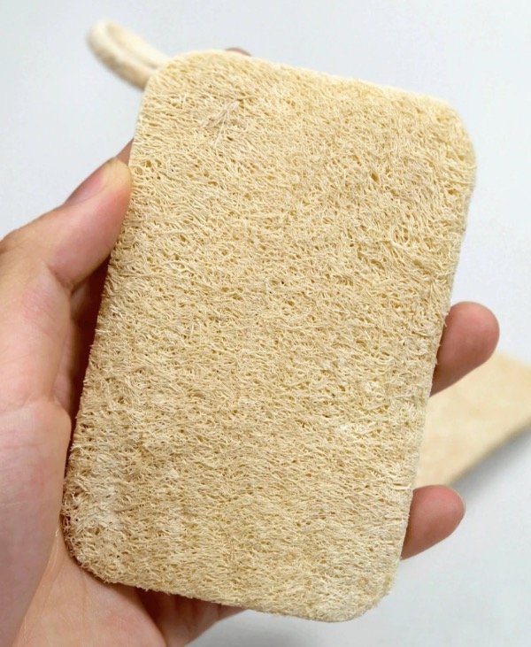 Producto - Esponja Luffa Natural! - 1