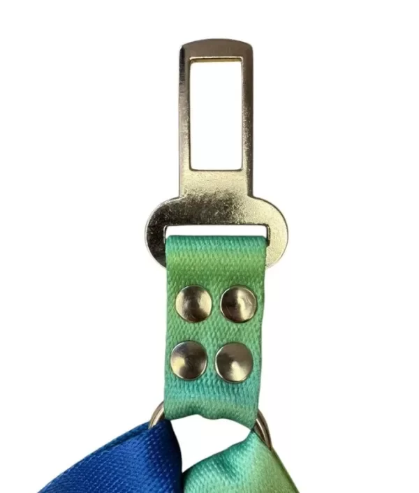 Producto - Cinturón seguridad doble celeste M/L