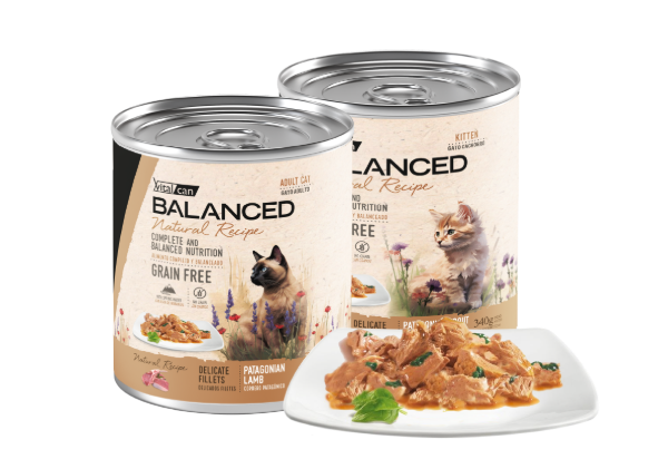 Producto - Vital Can Balanced Natural Recipe Latas Filets 340 Gr x 6 Unidades