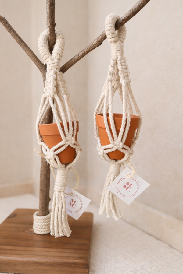 Producto - Mini portamacetas