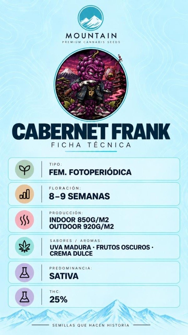 Producto - CABERNET FRANK (3 unidades) - 1