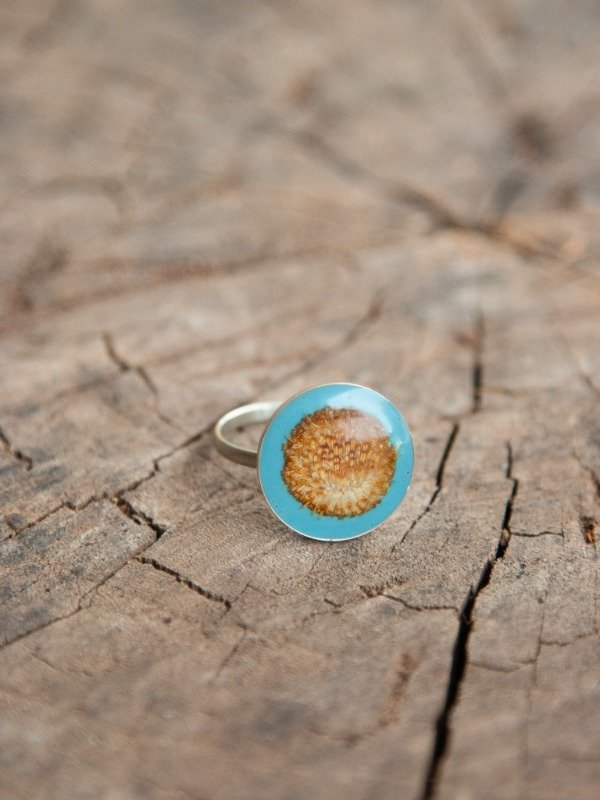 Producto - Amaray - 2