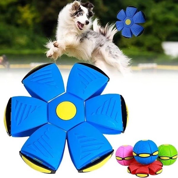 Producto - Pelota saltarina