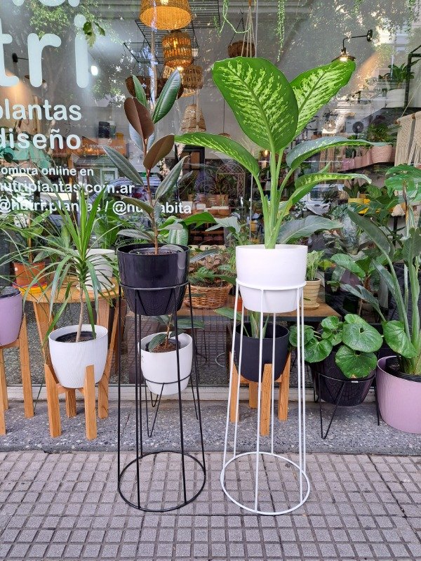 Producto - Pie Rando