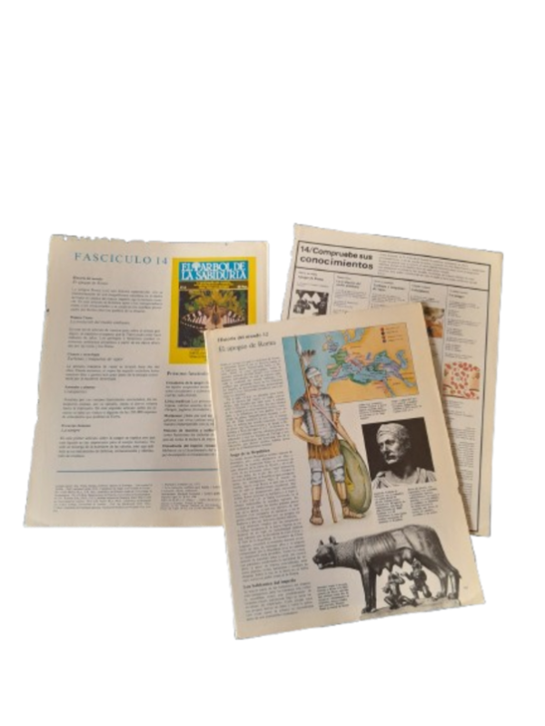 Miniatura de producto - 7