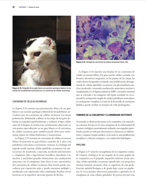 Producto - Kiehl: Atlas para el Diagnóstico de Tumores en el Perro y el Gato - 7