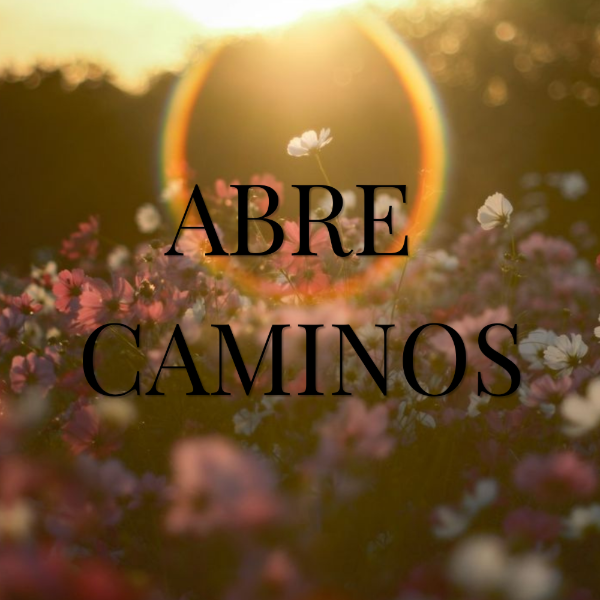 Producto - Abre Caminos