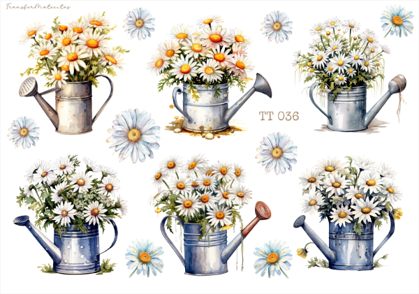 Producto - TT 036