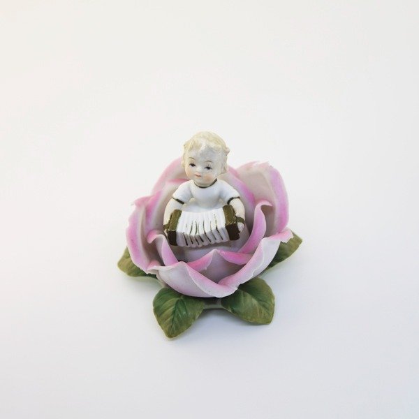 Producto - Acordeonista en Loto