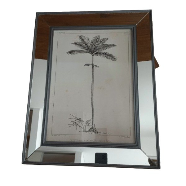 Producto - Cuadro de espejo Palmera