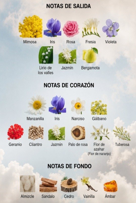 Producto - Cerruti 1881 (EDT) - 1