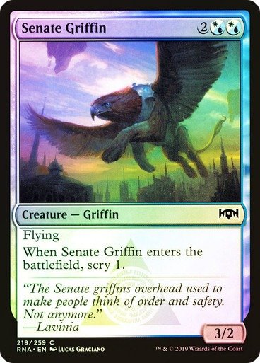 Producto - Senate Griffin Foil  Ravnica Allegiance