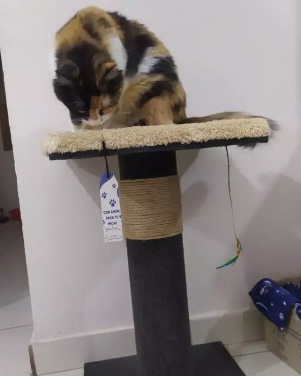 Miniatura de producto - 4