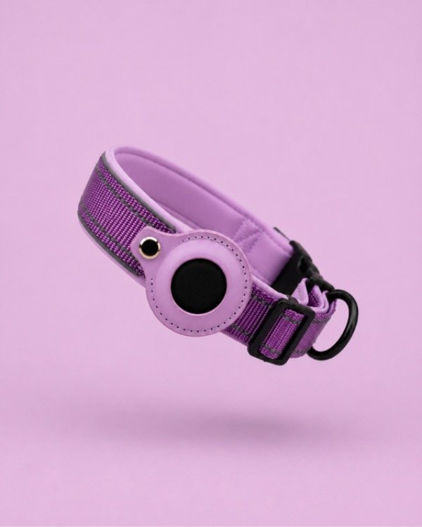 Producto - Collar Balto LILA