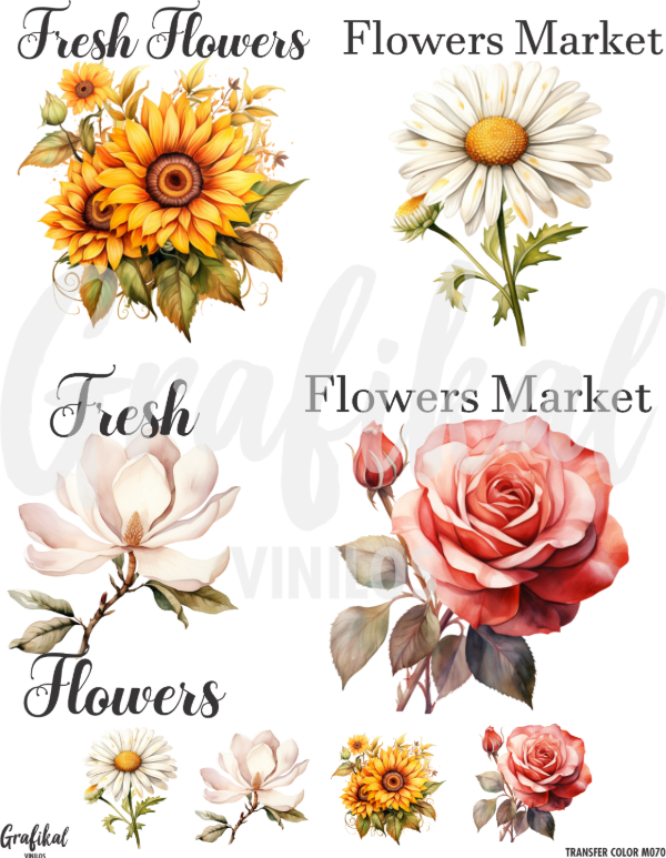 Producto - TransferColor 20x25 070